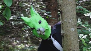 Overdoze - Dosed Back to Reality (Official Music Video)